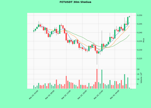 FETUSDT.png