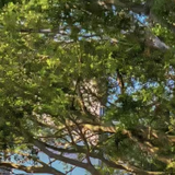 bf331d6ecb375805944672331f7e5bc9 crop 200 300 500 600.png