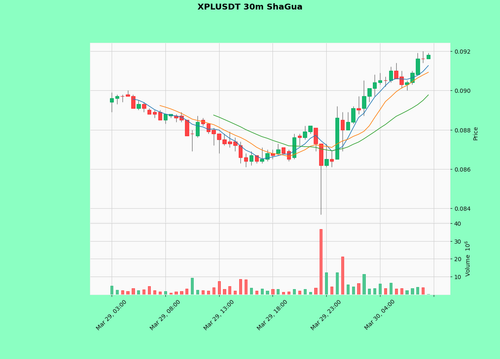 XPLUSDT.png