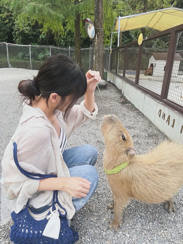 20251221 035115 DSgtSoVk 5x 01.jpg