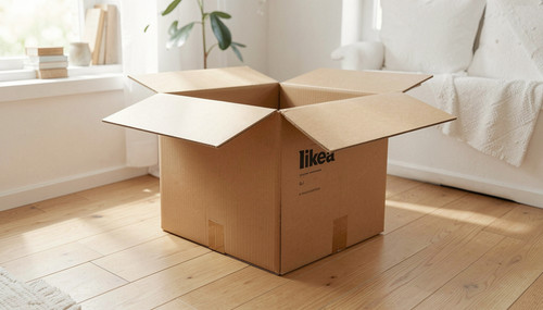 moonray image (3).jpg