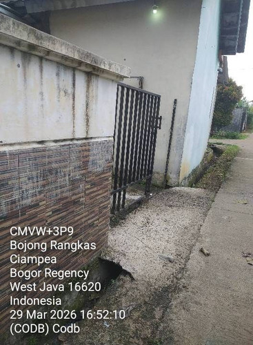 codb.jpg
