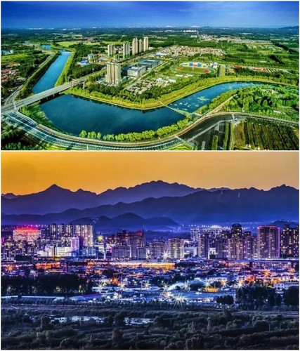 Collage 20260330 113850.jpg