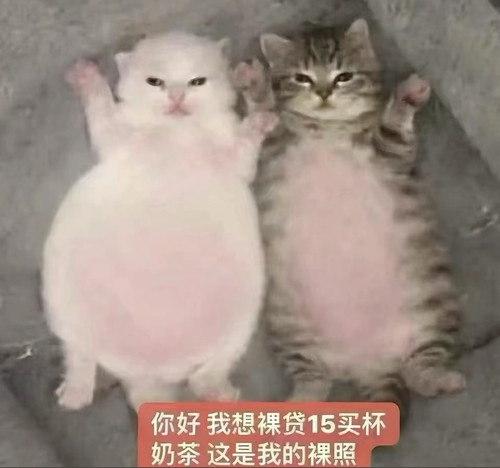 Screenshot 2026 03 30 16 33 54 598 com.ss.android.ugc.aweme edit.jpg