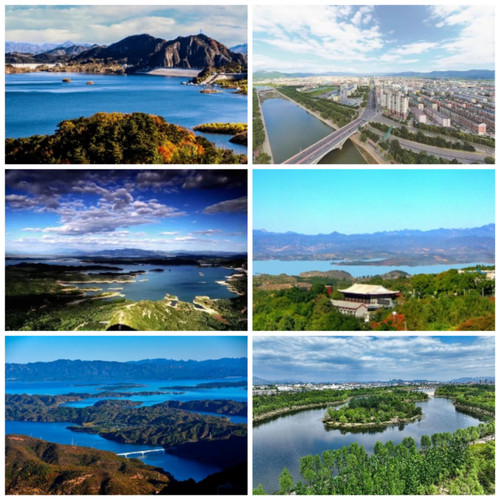 Collage 20260330 115324.jpg