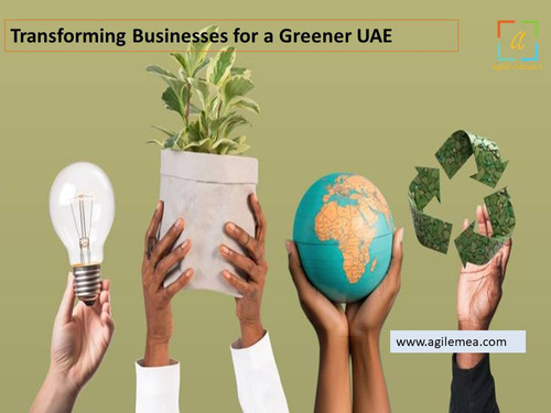 Transforming Businesses for a Greener UAE.jpg