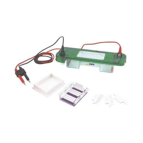horizontal electrophoresis system lx5000hes.jpg