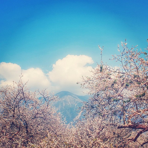 20140109 012210 i7fMNlM4T4 01.jpg