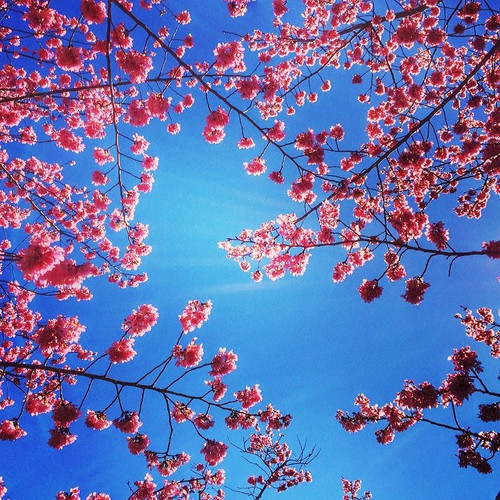 20140221 025314 kqXy3Ks4ff 01.jpg