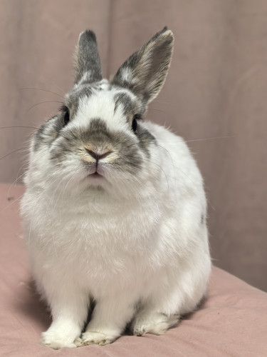 IMG 20260324 225536.jpg