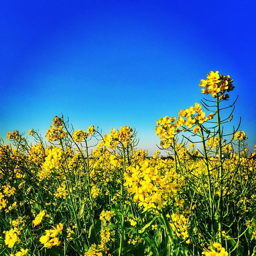 20140115 082444 jLsUdas4fY 01.jpg