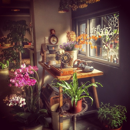 20131205 054542 hh1h20s4Wr 01.jpg