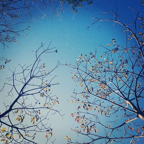 20140101 123049 ioFWkcM4QO 01.jpg