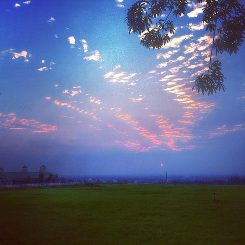 20131119 090715 g4 3 UM4eO 01.jpg