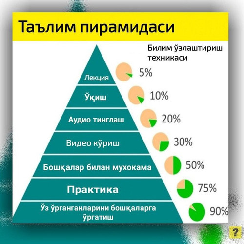 Usmonovyechimlari.jpg