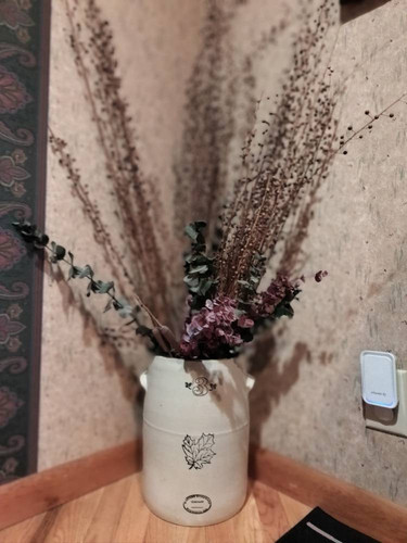 8fd8d0930eb6.jpg