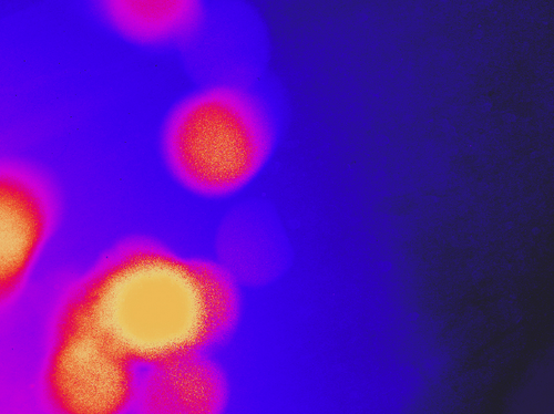 temp.png