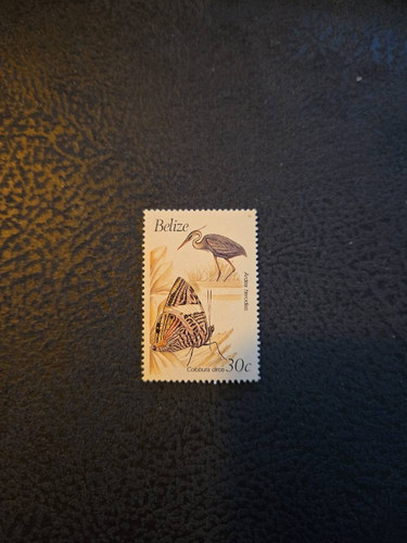 dc9d7f62ec31.jpg