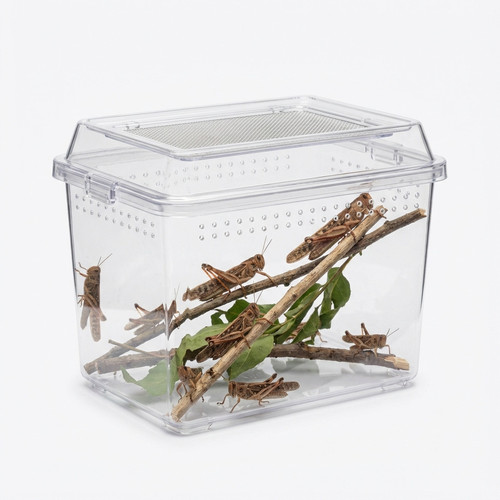 locust product 44cbcb2b 4800 4e2c 96e5 c02db27586dc.jpg