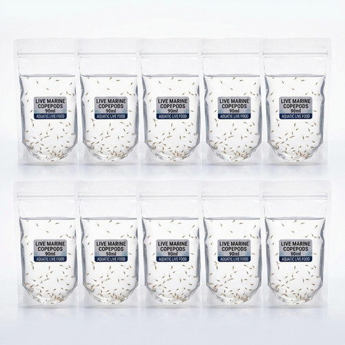 live marine copepods 10bags 143a7ddb fa55 4037 9149 8cd7f84a3705.jpg