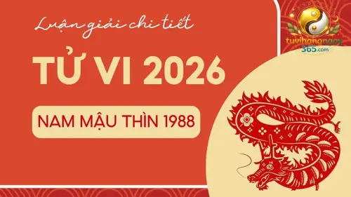 Tử vi tuổi Thìn năm 2026 – Vận trình xoay chuyển, lấy tĩnh chế động.webp