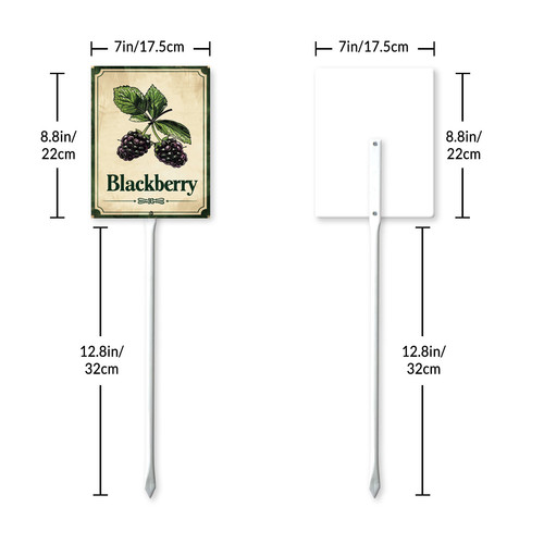 Blackberry 003 7.jpg