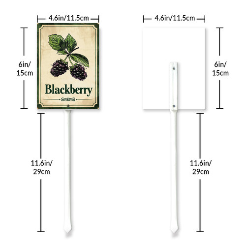 Blackberry 003 6.jpg