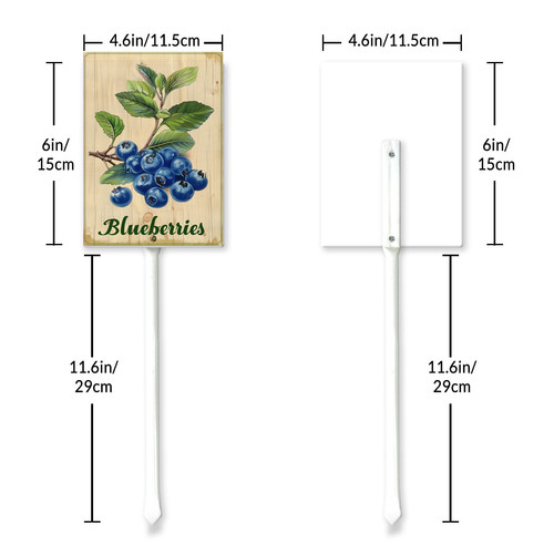 Blueberries 001 6.jpg