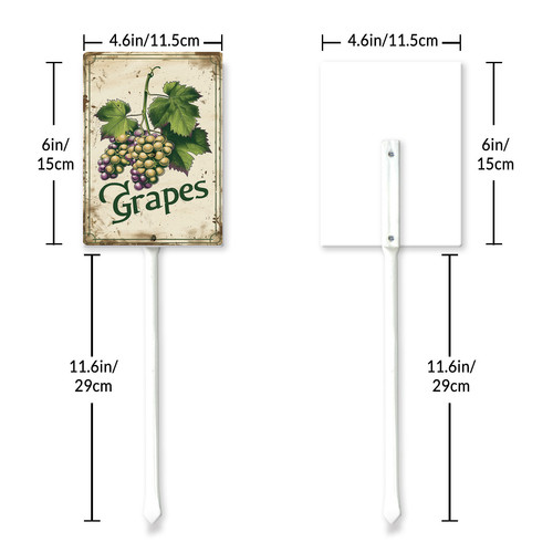 Grapes 002 6.jpg