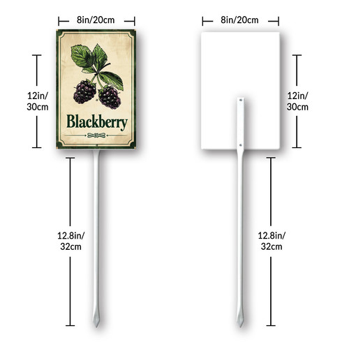 Blackberry 003 8.jpg