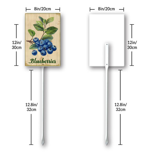 Blueberries 001 8.jpg