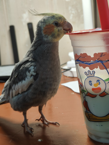 IMG 20260330 170950.jpg