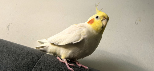 IMG 20260329 135242.jpg