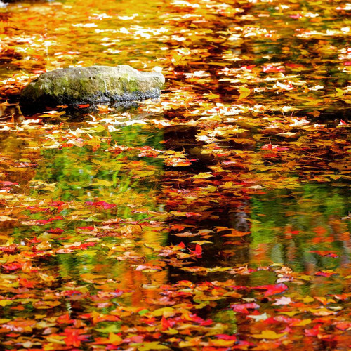 20181221 070716 Bro HBCBUw7 01.jpg