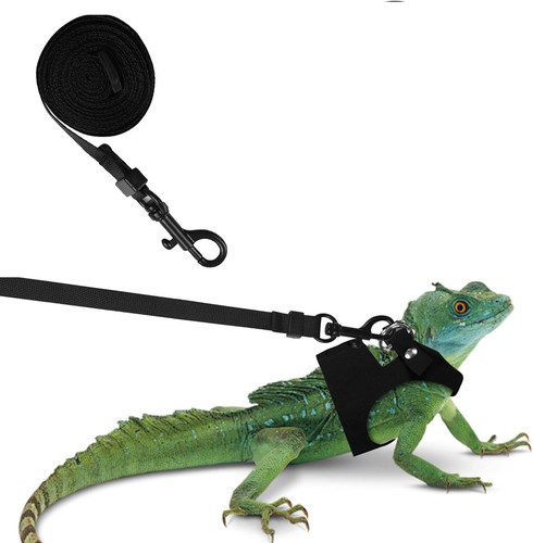 71NuY3LJUBL. AC SL1500 .jpg