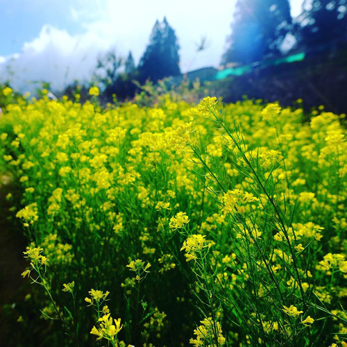 20181218 051244 BrhDndbB9fH 01.jpg