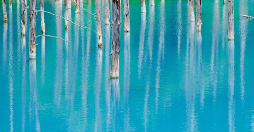 20190630 062933 BzUun1HlXGn 01.jpg