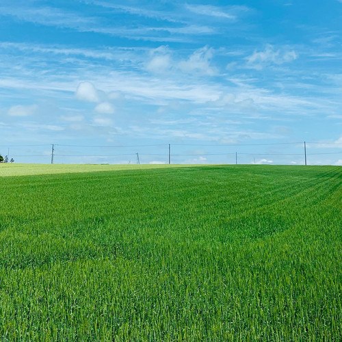 20190630 040454 BzUeEWzF3e4 01.jpg