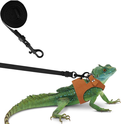 71NuY3LJUBL. AC SL1500 .jpg