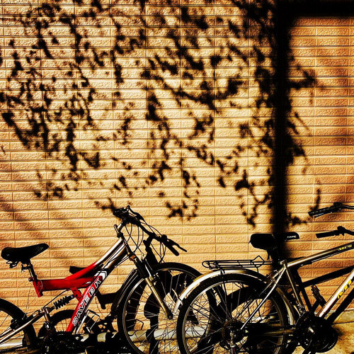 20181028 130841 BpeliwlnBcQ 01.jpg