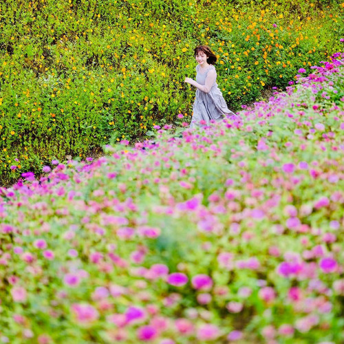 20181216 005150 BrbcK1Bht5W 04.jpg