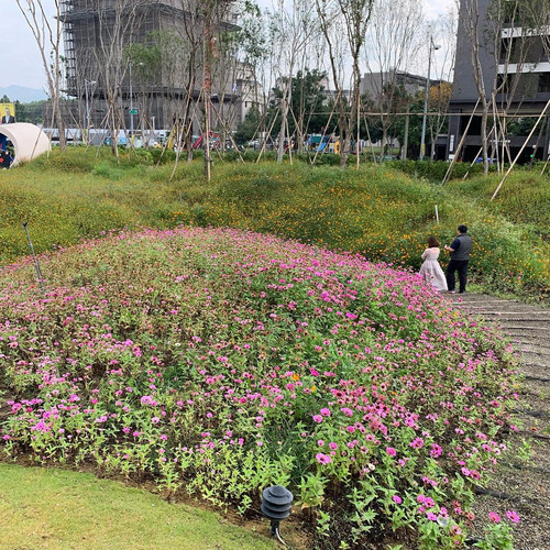 20181216 005150 BrbcK1Bht5W 08.jpg