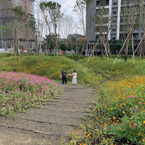 20181216 005150 BrbcK1Bht5W 09.jpg