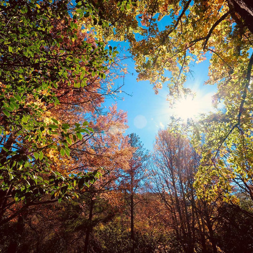 20181215 061514 BrZcYpFh5ZT 01.jpg