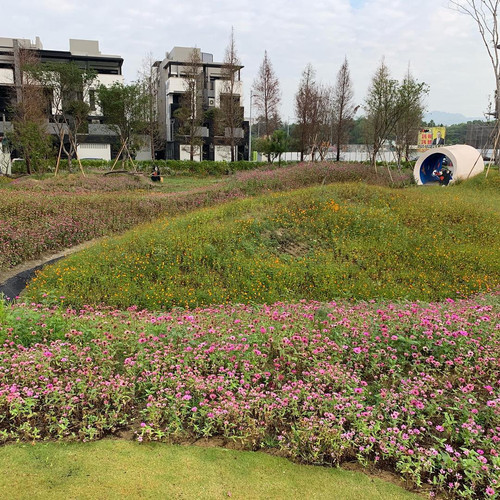 20181216 005150 BrbcK1Bht5W 10.jpg