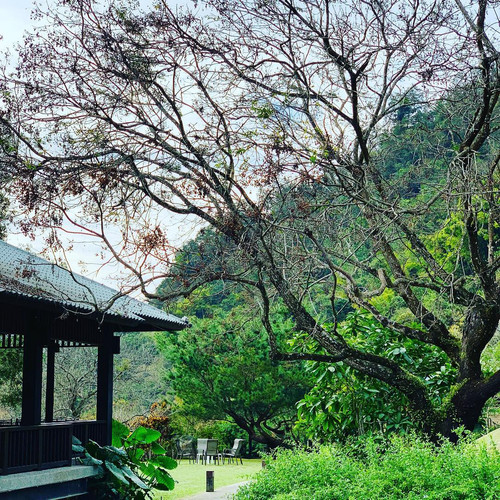 20190101 065119 BsFSBtOhoRi 02.jpg