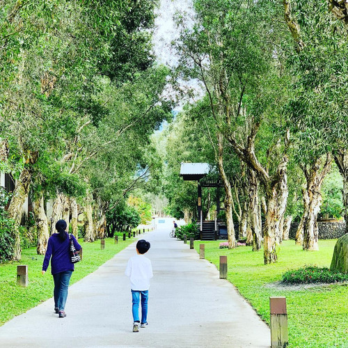 20190101 065119 BsFSBtOhoRi 03.jpg