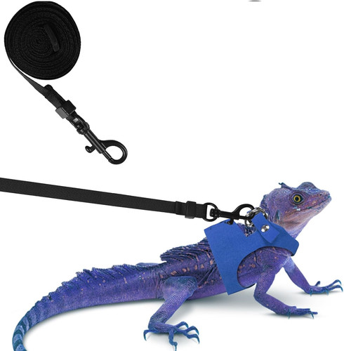 71NuY3LJUBL. AC SL1500 .jpg