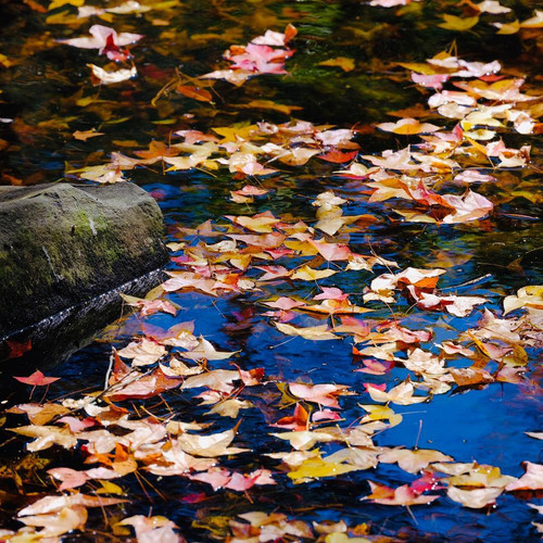 20181215 061514 BrZcYpFh5ZT 03.jpg