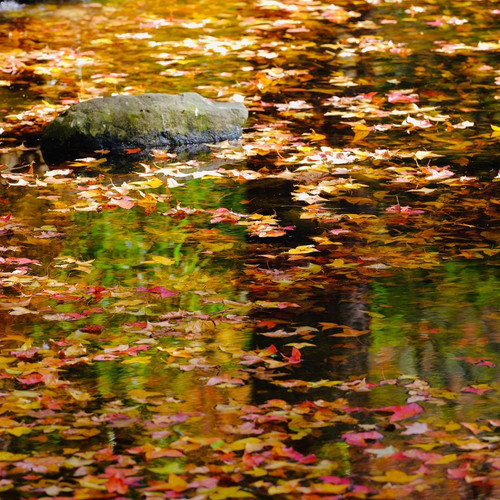 20181215 061514 BrZcYpFh5ZT 04.jpg